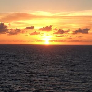 Meet your Posher, Suzette